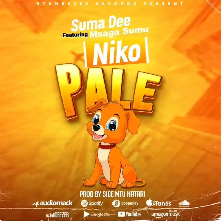 Suma Dee ft Msaga Sumu - Niko Pale (Niite Mbwa) Mp3 Download