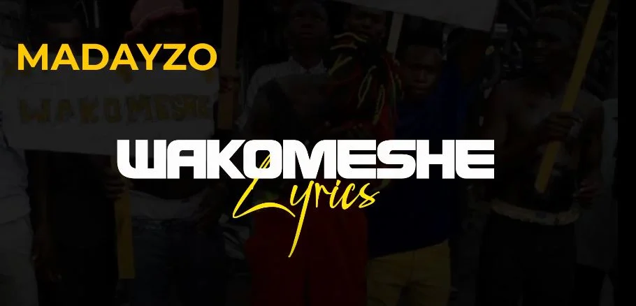 madayzo song wakomeshe