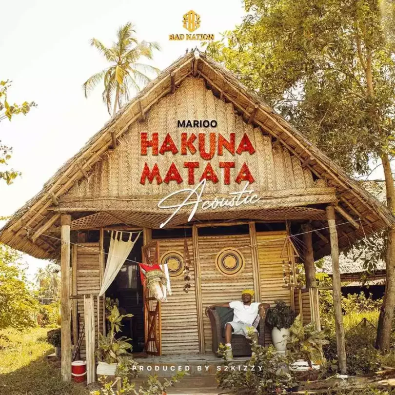Hakuna Matata Acoustic
