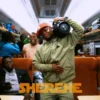 Sherehe Video Lyrics By Harmonize