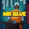 blue nani