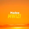 mwizi 2