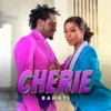 BAHATI CHERIE Official Video Starring DIANA B mp3 image 1024x1024 1