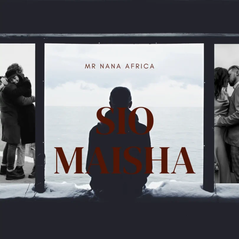 Mr Nana Africa SIO MAISHA mp3 image 2