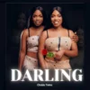 Darling by Chobis Twins mp3 image