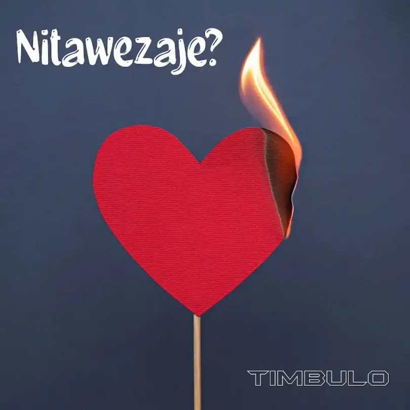 Nitawezaje