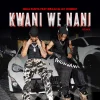 kwaniwenanic 2